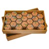 LOGOPLAY Hexadomino - Hexamino - Hexagon Domino - Tile Game