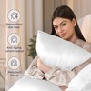 DREAMZIE Silk Pillowcase 65 x 65 cm for Hair and
