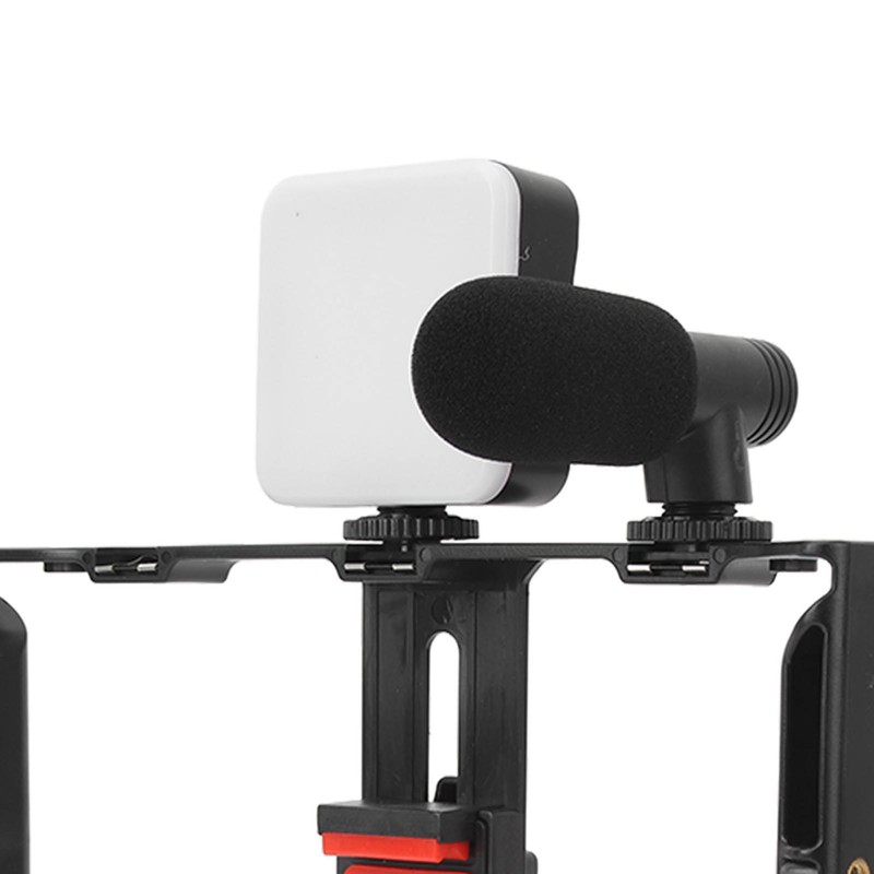 Phone Live Streaming Kit with Fill Light Microphone Sound Cable