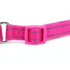 haoyueer Reflective Nylon Martingale Collar, Heavy Duty Nylon Escape-proof Martingale