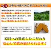 Okinawa Ukondo Uses Awamori Manufacturing Technology from the Ryukyu Dynasty