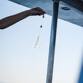 SEWACC 24pcs Spring Bait Cage Olive Shape Fishing Lure Carbon Steel 8 x 2.3 x 2.3 cm