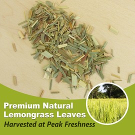 TEARELAE - Lemongrass Tea Bags, 40 Count - Premium Natural Lemon Grass Herbal Tea Bags - Non-GMO - Caffeine-free - Support Healthy Digestion