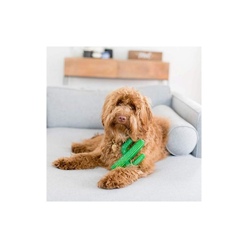 ZippyPaws - ZippyTuff Tough Squeaky Outdoor Chew Toy for Dogs