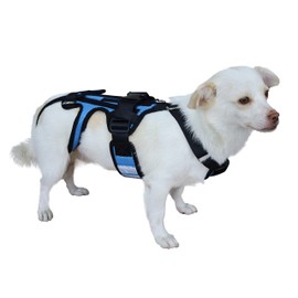 OShuKang Dog Back Brace for Dogs, Hip Brace Support for Pet, Back Brace for Dogs with IVDD, Surgery Recovery and Rehabilitation, Dog Back Disease Rrevention(XS)