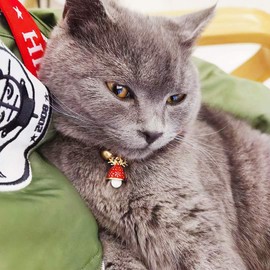 Cat Collar with Quick Release | Collar for Cat with Leather | Handmade | with Bell | Golden Ball | Japanese Design | Adjustable | Pack of 2