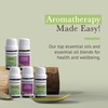 Pranarom - Essential Oil Starter Kit (Two 5ml Wellness Blends