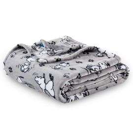 Berkshire Blanket & Home Co. Peanuts Gang Snoopy Happy Dance Velvet Soft Plush Throw Blanket by Berkshire Blanket & Home Company,Gray,50 Inch x 70 Inch