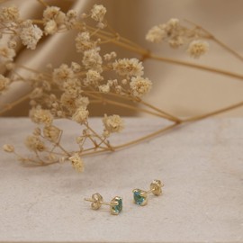 Carissima Gold Women's 9ct Yellow Gold Aquamarine 4mm Cubic Zirconia March Birthstone Stud Earring