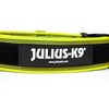 JULIUS-K9