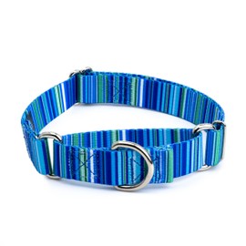 Country Brook Petz - Blue Serape Martingale Dog Collar - Country and Western Collection Featuring Rustic Designs (1 Inch, Large)