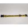 Service Dog in Training Dog Collar