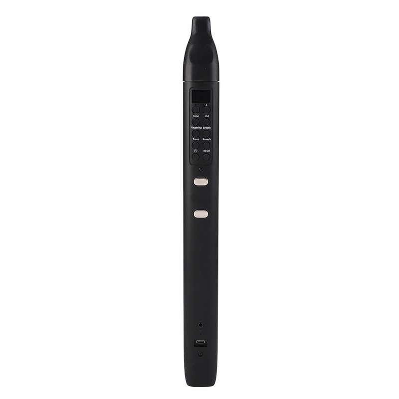 Electric Blowpipe 10 Timbre Mini Portable Rechargeable Detachable Digital Wind