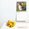 Shetland Sheepdogs | 2025 12 x 24 Inch Monthly Square