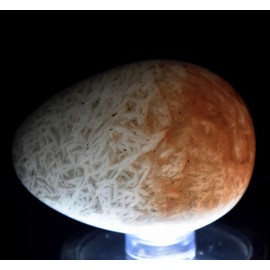 2.1" Orange White Scolecite Sprays Carved into Egg Polished UV Reactive Natural Zeolite Gemstone Crystal Mineral Specimen - India + Stand