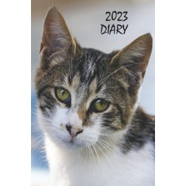 2023 Diary: Cat Lover's Planner, Organiser and Journal, Standard Size, UK and US Holidays, Tabby Kitten Edition