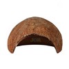 JOR Axolotl Cave, Coconut Shell Hideout and Resting Tunnel, Shelter