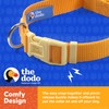 Dodo All Nylon Yellow Collar and Leash - Medium; Matching
