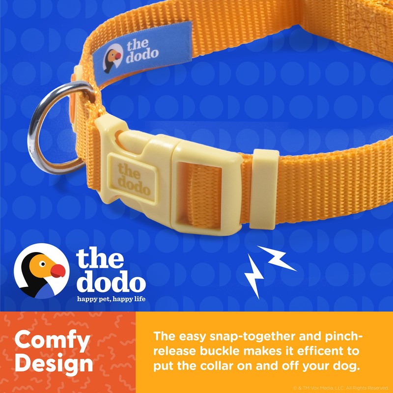 Dodo All Nylon Yellow Collar and Leash - Medium; Matching