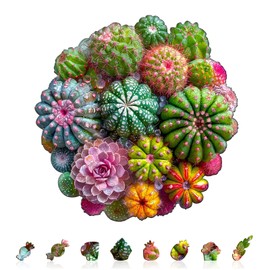 Wooden Puzzles for Adults, Cactus and Succulents Wooden Jigsaw Puzzle 3D Visual Effect Unique Shape Plant Wood Puzzles Adult, Birthday Gifts for Puzzle Lovers Family Games (M-11.4 * 11.3in-200pcs)
