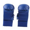 A Pair of Boxing Gloves Karate Hand Protector with Thumb