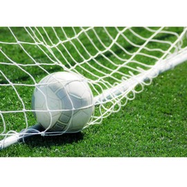 Fishlor Soccer Goal Post, 8 x 4ft Football Goal Netting Soccer Post Durable Net Equipment