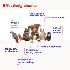 Pet Mess Wipes – Odor & Stain Remover for Cages, Glass Containers & Pet Homes | Tough on Messes, Gentle on Surfaces | Ideal for Urine, Fecal Matter & Other Pet-Related Messes