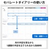 Separate Diary Notebook, Beginning in January, 2025 B6 Weekly &