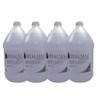 IDEALSEAL PB 608-0 E-Z Seal Sealing Solution, 64 oz, Clear,