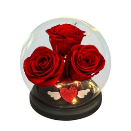 Wishwell Pop Preserved Roses Flower in Glass Dome, Real Red Rose Flower, Gifts for Her, Valentines Day Mothers Day Birthday, Girlfriend Wife Mother, Home Décor