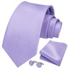 HISDERN Purple Ties for Men Striped Mens Ties Silk Necktie