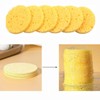 Face Sponge, Pack of 10 Cleansing Sponge, Compressed Face Sponges,