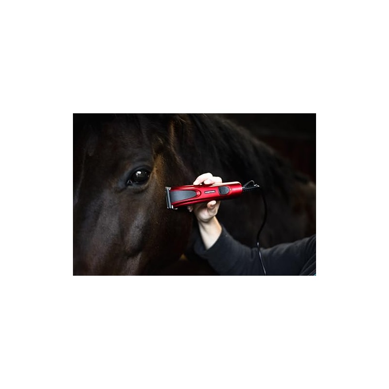 Liveryman A5 Narrow Blade 10