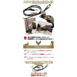 LIP3015 Ferret Lead Single Item (Multi-Border Yellow)