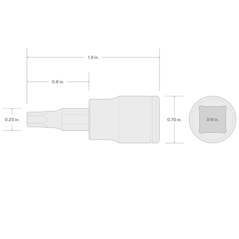 TEKTON 3/8 Inch Drive x T25 Torx Bit Socket |
