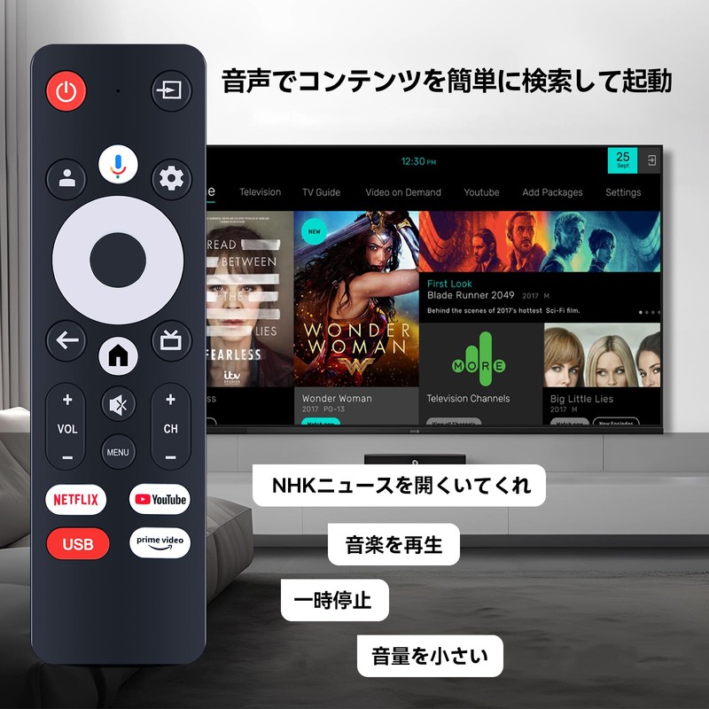 TV Remote Control for YAMAZEN QRH-24TL2K QRH-50TL4K QRK-40W2KST for Google