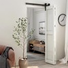 AONAYIOA 42"/3.5FT Bi-Folding Sliding Barn Door Hardware Kit for 2