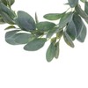 Hobby Lobby Lamb's Ear Wreath