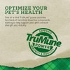 Cargill Loyall Life Large Breed Lamb & Rice Adult Dog