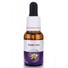 Living Essences Snake Vine 100ml