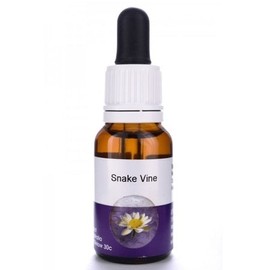 Living Essences Snake Vine 100ml