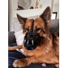 Mayerzon Dog Muzzle, Breathable Basket Muzzles for Small, Medium, Large