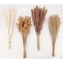 ANPROOR 100 Stems Pampas Grass Contains Bunny Tails Dried Flowers, Reed Grass Bouquet