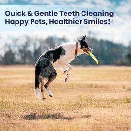 Effves Dog Dental Wipes, Gentle and Non Irritating Cat Teeth Wipes, Dog Teeth Cleaning Wipes for Fresh Breath & Plaque Removal, Pet Dental Finger Wipes for Dogs and Cats,50 Wipes