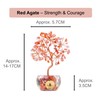 (Red Agate) Feng Shui-Crystal Tree-Money Tree-Home Decor-Office Decor-Quartz-Seven Chakra-Healing Gemstone-Birthday