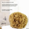 Esponja de mar natural Naroa XL – Exfoliante corporal ecológico