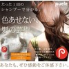 PUEL Classic Type Shampoo, 28.7 fl oz (800 ml), Curly