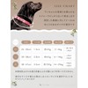 Lil&Fam Dog Collar Basic (Latte Beige, S)