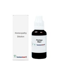 Homeomart.com Plantago Major Homeopathy Dilution 1M, 1 fl oz (30ml)