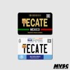 Card Stickers - Mexico Placas (Mexican License Plate) - For